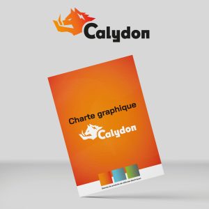 Mockup charte graphique identité visuelle Calydon